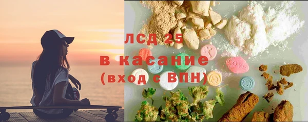 прущие грибы Кукмор
