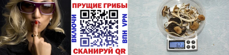 сколько стоит  Малоархангельск  Галлюциногенные грибы GOLDEN TEACHER 