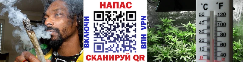 закладка Малоархангельск Бошки марихуана OG Kush